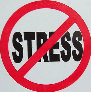 Cannabis Stress Study